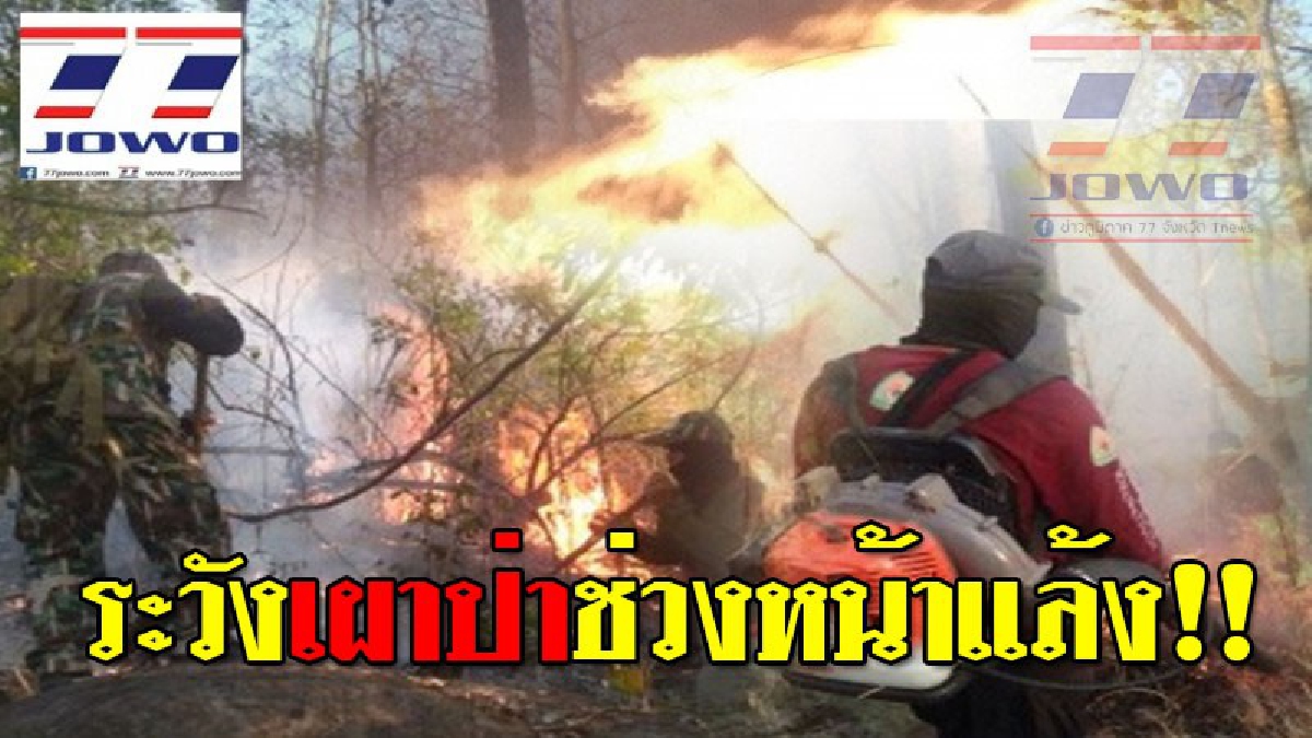 สั่งคุมเข้มลอบเผาป่าหน้าแล้ง!! เริ่มพุ่งสร้างความเสียหายไปแล้วหลายอำเภอนับหลายพันไร่ ส่อวิกฤตไฟป่าไหม้ลามไม่หยุด