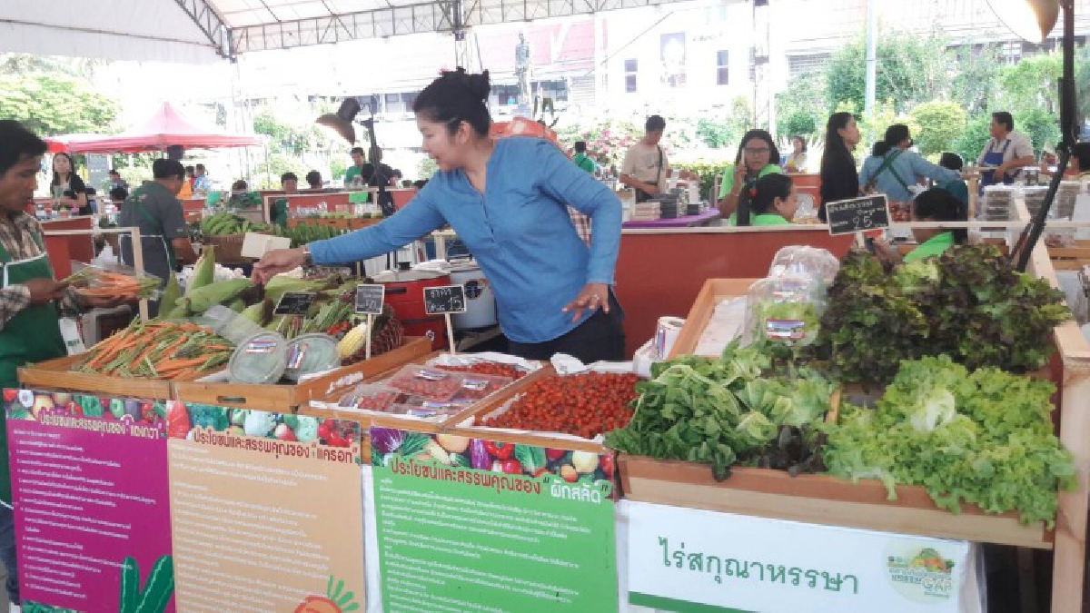 พ่อเมืองสระบุรี เปิดงานมหกรรมตลาดสินค้าเกษตรมาตรฐาน GAP(มีคลิป)