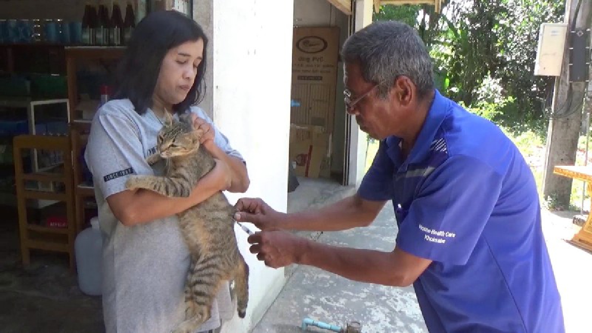 มีความสุข ไม่หวังสิ่งตอบแทน ! อาสาสมัครปศุสัตว์ ขับรถลุยเดี่ยว ฉีดวัคซีนให้หมาแมวฟรีถึงบ้าน (คลิป)