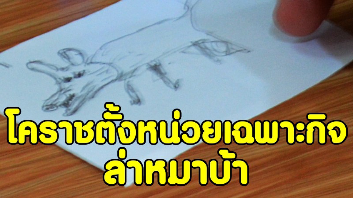 โคราช ! ผู้ว่าฯ มอบนโยบายเร่งด่วน ในเรื่องการแก้ไขปัญหาโรคพิษสุนัขบ้า ที่พบแล้วใน 8 อำเภอ (มีคลิป)