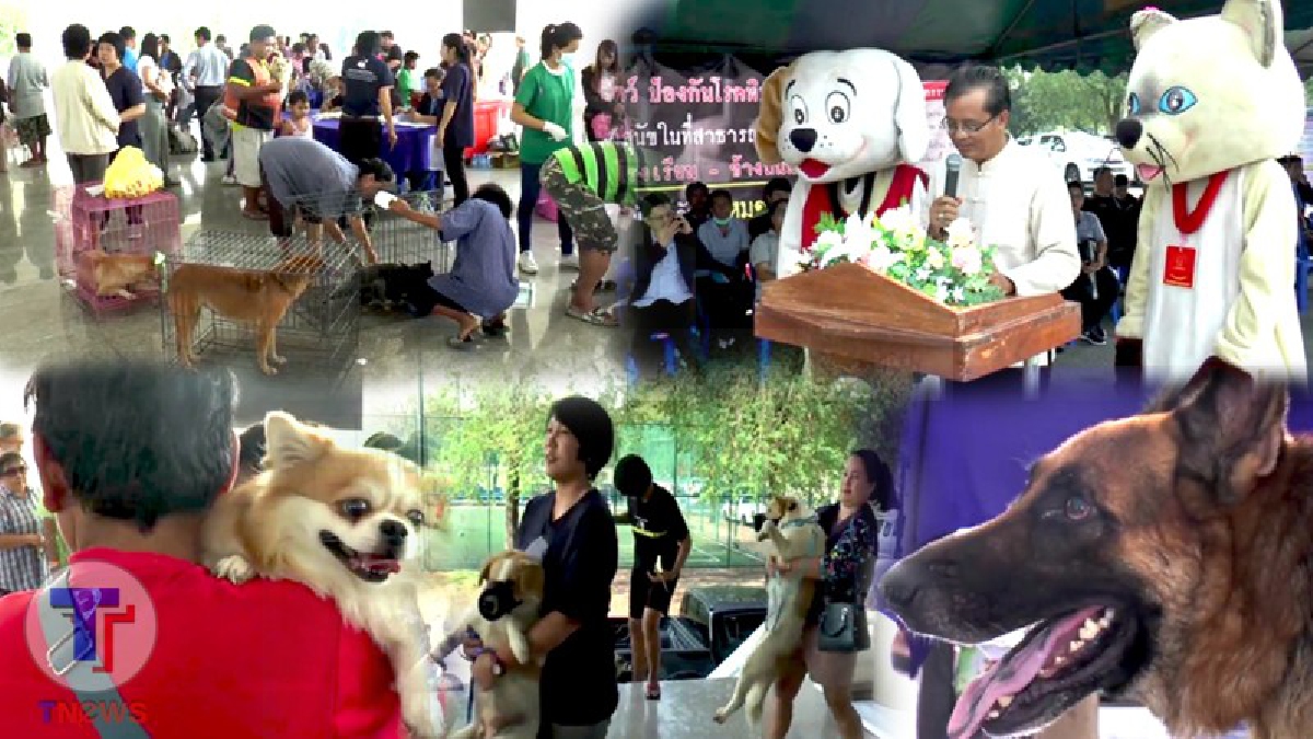 กรมควบคุมโรค!! ประกาศให้ฉะเชิงเทราเป็นโซนสีแดงเฝ้าระวังพิษสุนัขบ้า ในขณะที่จังหวัดปฏิบัติการเชิงรุก kick off สร้างความตื่นตัวป้องกันสุนัขบ้า