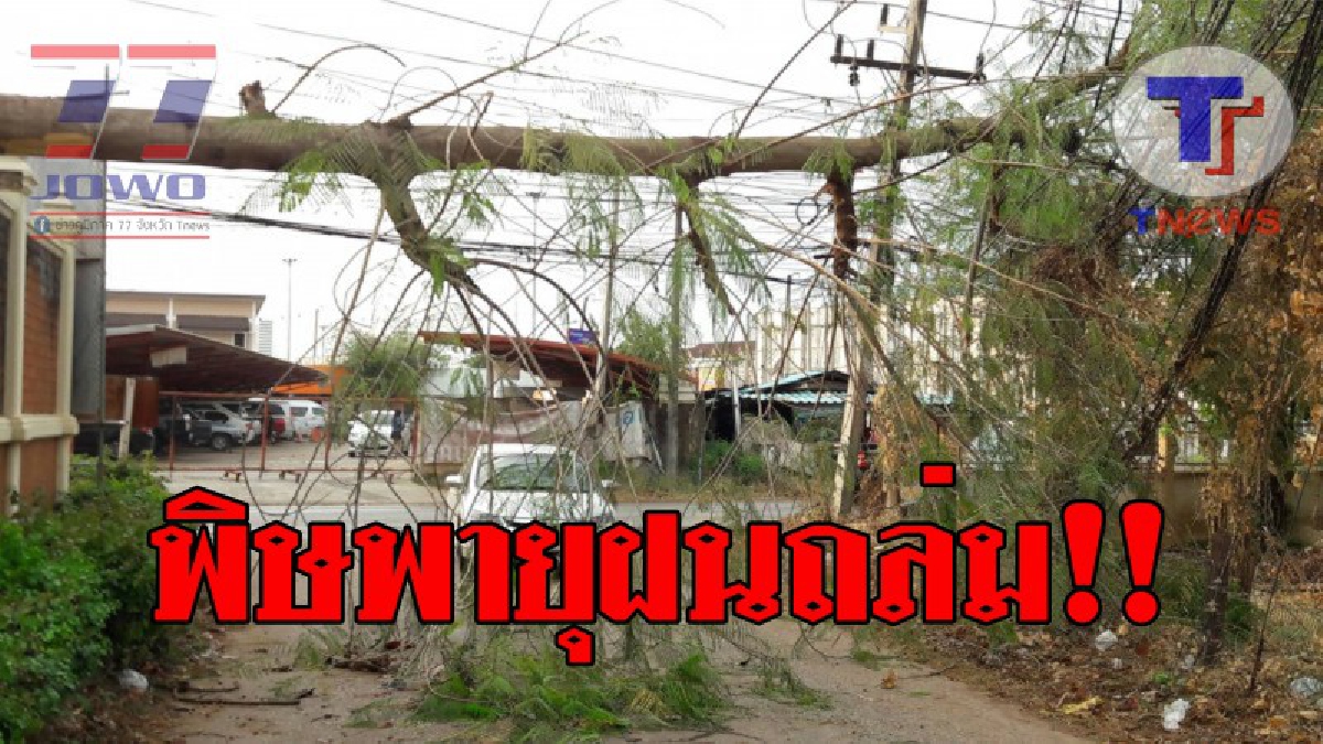 อยู่ดีๆ ฝนก็ตก..!! เมืองหนองคาย ฝนตกลมกระโชกแรง ต้นฝางอายุกว่า 15 ปี หักโค่นขวางถนน รถไม่สามารถสัญจรได้ หลายอำเภอก็ได้รับผลกระทบ!?