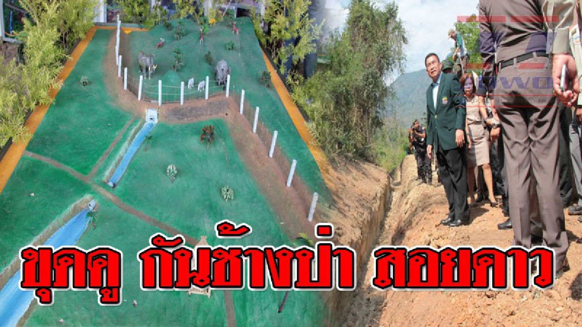 คนกับช้าง ต้องอยู่ร่วมกันได้ !! เลขาฯป่ารอยต่อ 5 จว. เปิดโครงการขุดคูกันช้างเขตสอยดาวจันทบุรี
