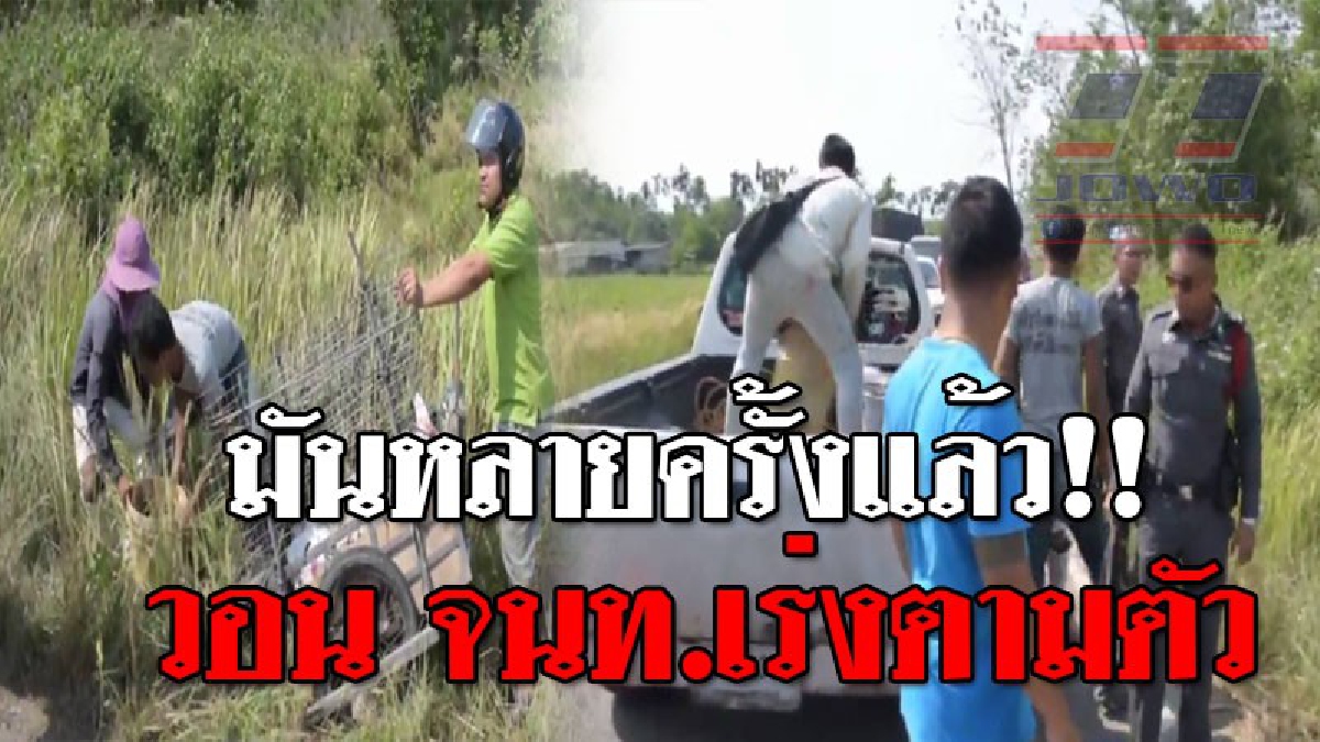 โคตรลุ้นระทึก ! คนร้ายขโมยเหล็กตัวหนอนก่อสร้าง ทำเนียนเป็นของตัวเอง สุดท้ายโดนเจ้าของตามล่าจะเอาคืน รีบคว้ามีดบังตอไล่ฟันก่อนหลบหนี..!??