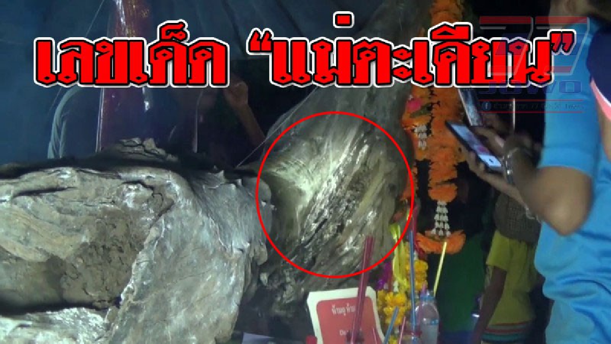เพ่งกันตาแทบหลุด ! ชาวบ้านแห่ขอเลขเด็ด "แม่ตะเคียน" หลังมีร่างทรงมาบอกให้นำขึ้นจากน้ำในลำคลอง..!? (ชมคลิป)