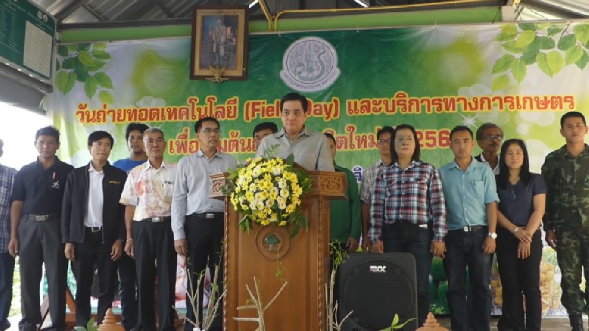 ถ่ายทอดเทคโนโลยี(Field Day)และบริการการเกษตรเพื่อเริ่มต้นฤดูกาลผลิตใหม่แก่เกษตรกร