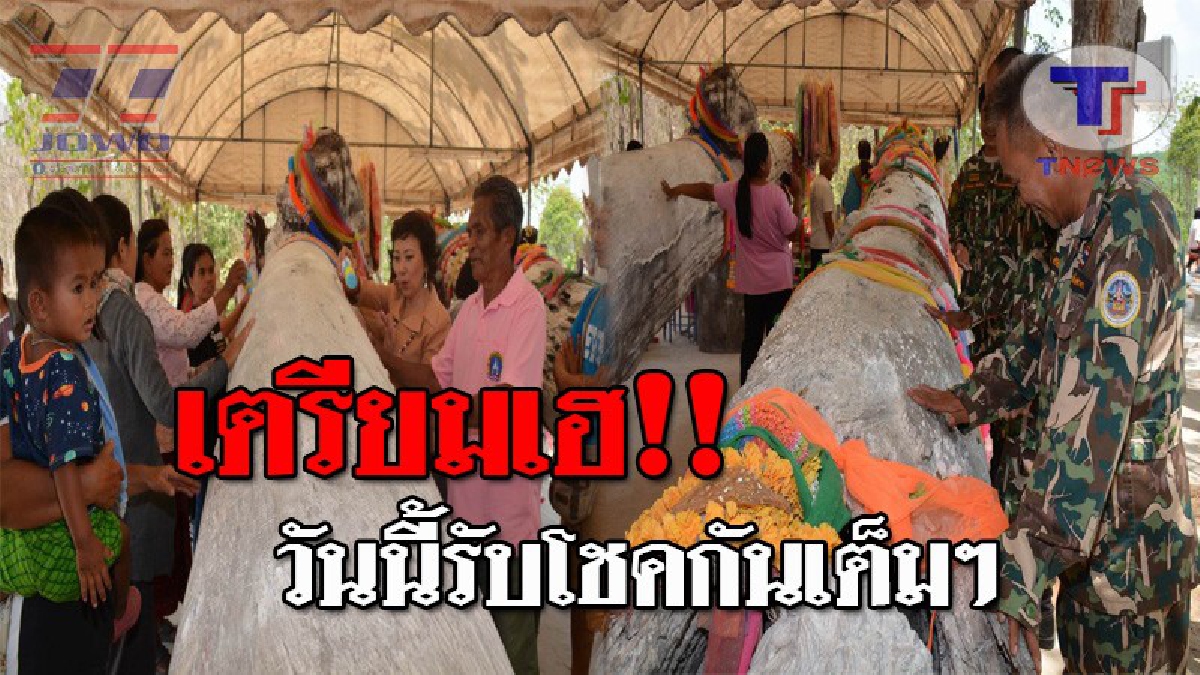 โค้งสุดท้ายวันหวยออก..!! รีบซื้อด่วน เลขเด็ด "ต้นตะเคียนทอง" ที่ศรีสะเกษ หลังโผล่ให้เห็นชัดๆ ทำเซียนหวยลุกฮือ แห่กวาดลอตเตอรี่แผงแทบแตก!?