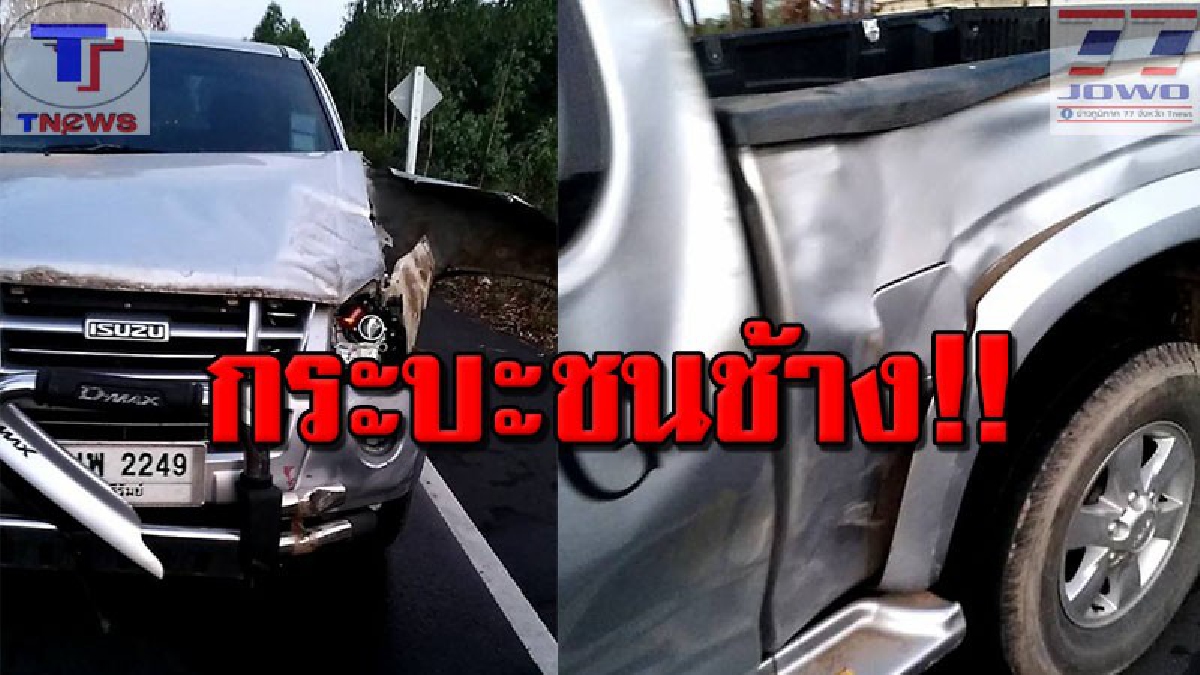 ผญบ.ผวา..ขับกระบะกลับจากตลาดตอนเช้ามืด มองไม่เห็น! พุ่งชนช้างป่าอย่างจัง ทำช้างร้องลั่น วิ่งหนีบาดเจ็บเข้าป่าหายวับ (คลิป)