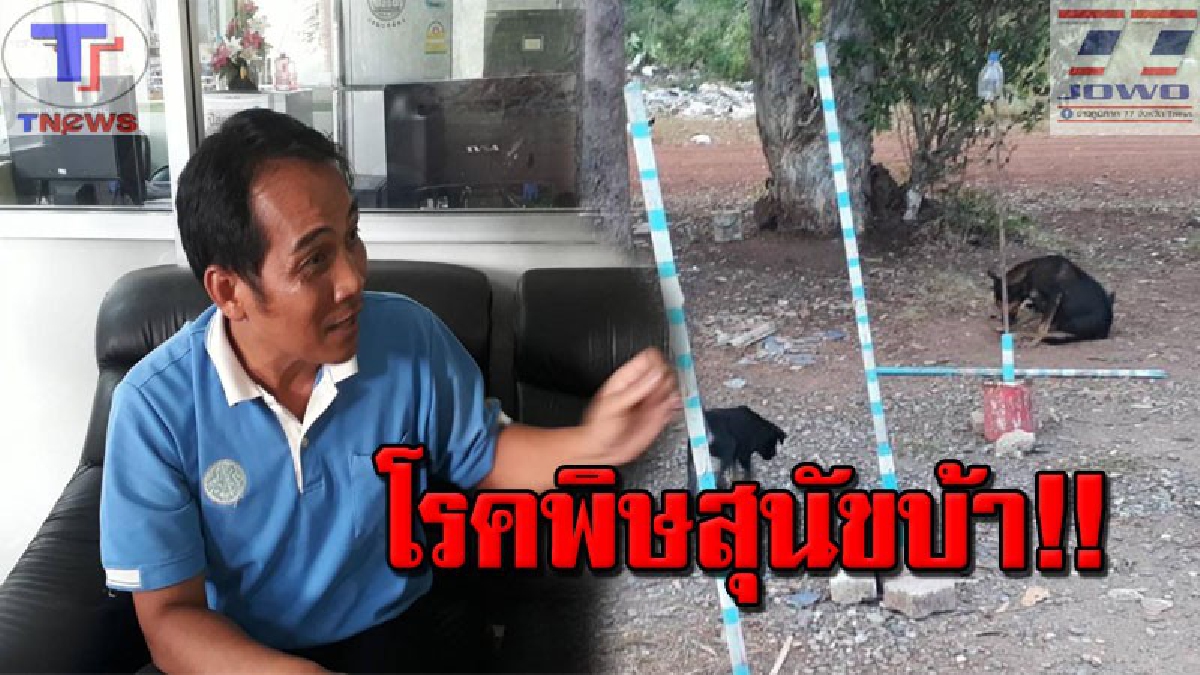อย่าตื่นตระหนก..โรคพิษสุนัขบ้า!!! ปศุสัตว์จับมือท้องถิ่นเฝ้าระวังโรคพิษสุนัขบ้า เตือน! อย่าตระหนกเพราะป้องกันได้ (คลิป)