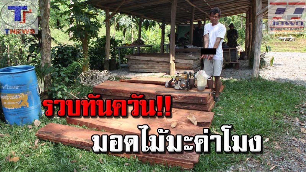 หนีไม่รอด !! รวบหนุ่มมอดไม้เขมร ลักตัดมะค่าโมง ชายแดนไทย รวบได้ 1 เผ่นหนี 2 (คลิป)