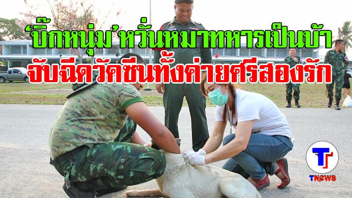 ช่วยกันป้องกัน ! ผบ.มทบ.28 สั่งฉีดวัคซีนป้องกันโรคพิษสุนัขบ้าทั้งค่ายศรีสองรัก (มีคลิป)