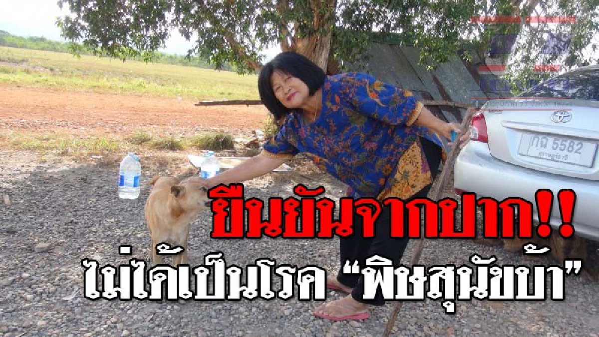 ไร้กังวล ! เจ้ามู่หมาจรจัดยันไม่เป็นโรคพิษสุนัขบ้า ป้าแก้วเลี้ยงดูสุนัขจรจัดนับเกือบ 40 ตัวเผ ดูแลด้วยเงินเกษียร พาฉีดวัคซีนครบ..!?