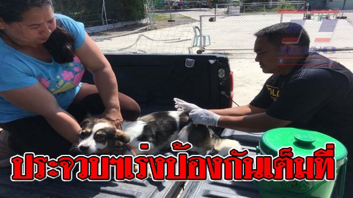 สั่งเข้ม !! ผวจ..ประจวบฯสั่งเจ้าหน้าที่ทุกฝ่ายเร่งควบคุมสถานการณ์โรคพิษสุนัขบ้าที่หัวหิน