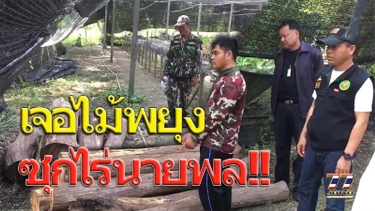 งามไส้ ไม้พะยูงซุกบ้านนายพล !! ชุดพญาเสือ บุกจับ ไม้พะยูงบนรีสอร์ทหรู เขาใหญ่ของอดีต ผบช.ภ.3 เจอแรงงานเขมร บัญชีเงินฝากนับล้าน (คลิป)