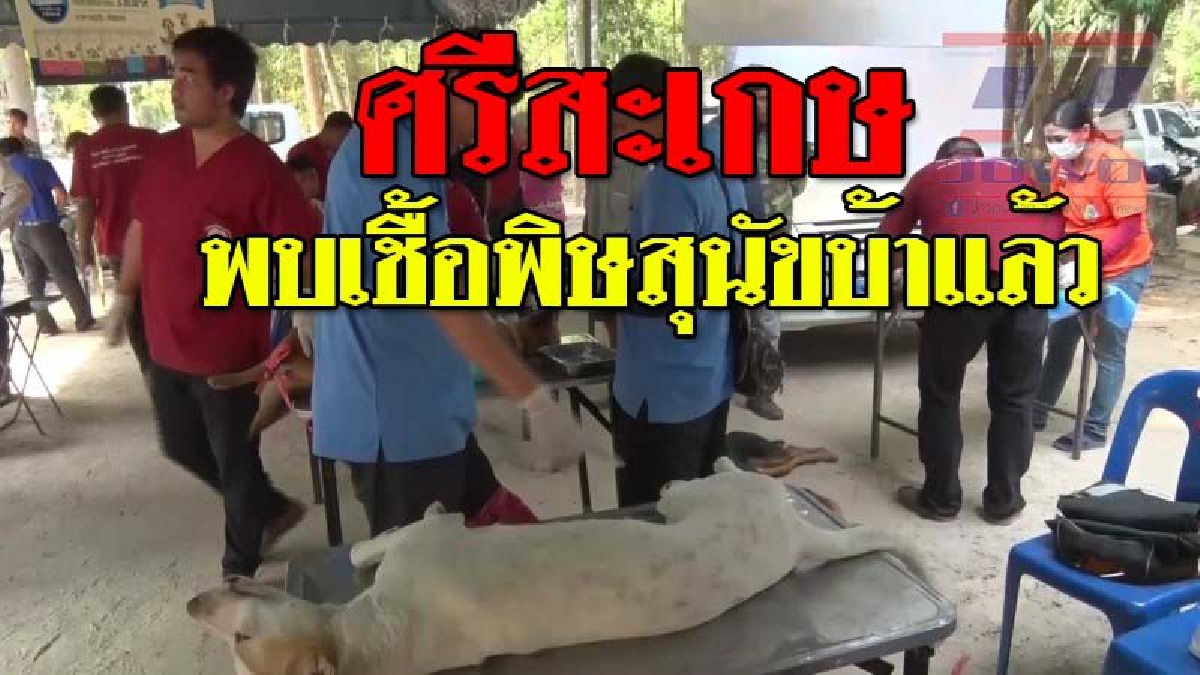 เตือน!!!! ศรีสะเกษพบเชื้อ "โรคพิษสุนัขบ้า" แล้วในพื้นที่ 8 อำเภอ 14 ตำบล..!??