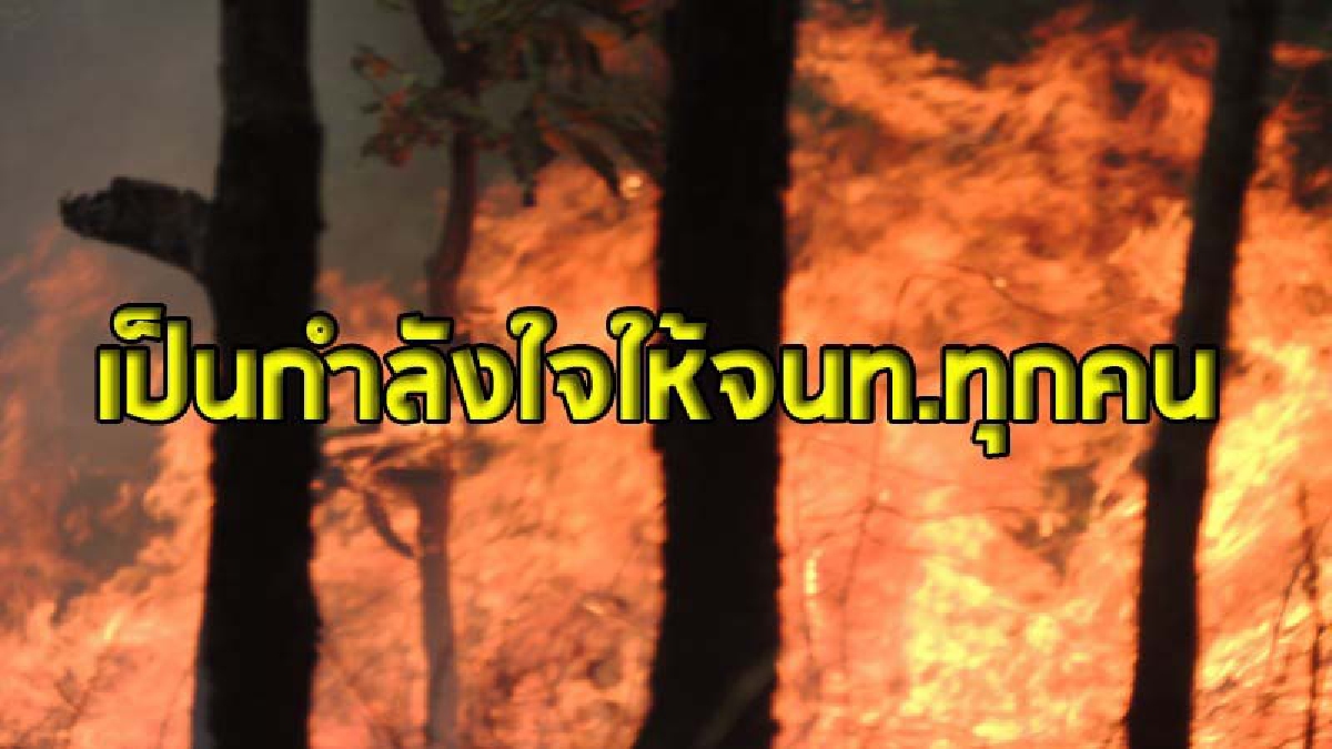 เจ้าหน้าที่สถานีควบคุมไฟป่าขุนขาน - สะเมิง  ลื่นตกเขา ขณะเข้าดับไฟในป่าลึก  เผย..หลายจุดอำเภอสะเมิงลุกเป็นไฟ  (ชมคลิป)