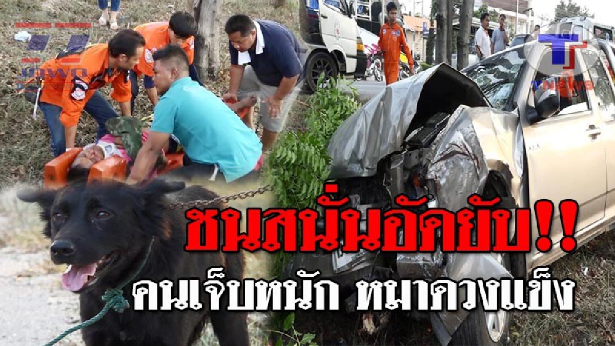 พาผมไปฉีดยาที..!! “เจ้าดำ” สุนัขดวงแข็ง กับวินาทีเฉียดตาย หลังเจ้าของพานั่งท้ายกระบะ ไปฉีดวัคซีนพิษสุนัขบ้า เกิดประสบอุบัติเหตุชนต้นไม้!?