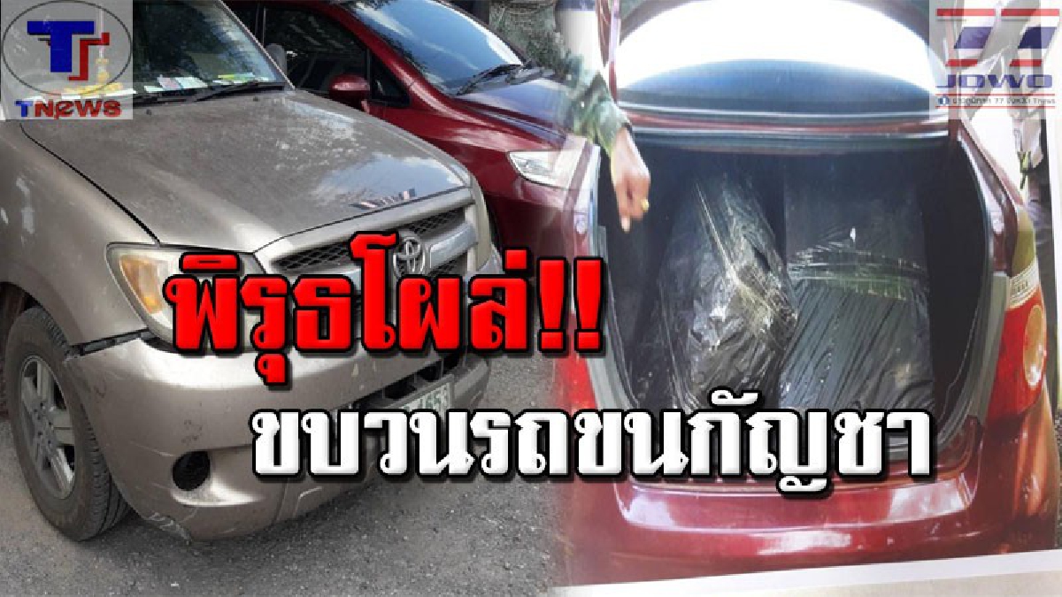 ขบวนรถนรก !! ส่อพิรุธ ตามรวบทันควัน 3 หนุ่มคนขับ ลักลอบขนกัญชาอัดแท่งเกือบ 300 แท่ง ฉลาดล้ำ! ซีลอำพรางหนีสุนัขทหาร แต่ไม่รอด (คลิป)
