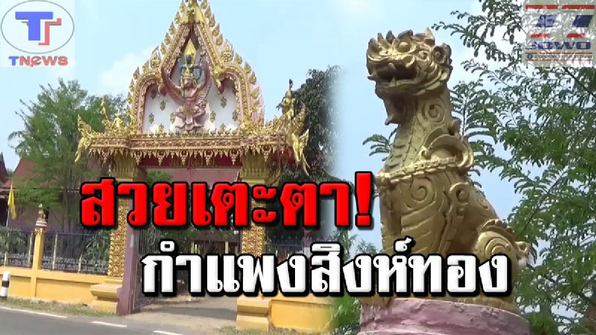 งดงามตระการตา !! วัดดังไอเดียแจ่ม นำสิงห์ทองกว่า 80 ตัวตั้งไว้บนหัวเสารอบกำแพงวัด ปรับภูมิทัศน์สร้างความสวยงามและน่าเกรงขาม (คลิป)
