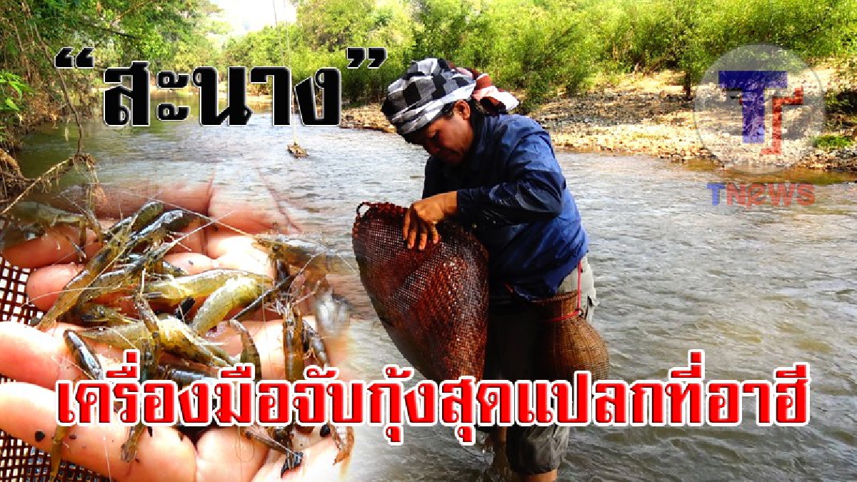 #เด็กยุคใหม่ไม่รู้จัก..สุดแปลกตา "สะนาง" เครื่องมือหากินหน้าแล้งของชาวบ้านไทย-ลาว เพียงแค่นี้ก็จับกุ้ง-ปลาได้เพียบ (มีคลิป)