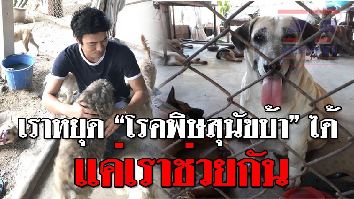 ไม่อยากให้เขาทำร้ายใคร..เราต้องช่วยกันดูแล ! หนุ่มนักธุรกิจรีไซเคิล หวั่นสุนัขจรจัดถูกฆ่าทิ้ง หลังโรคพิษสุนัขบ้าระบาดหนัก