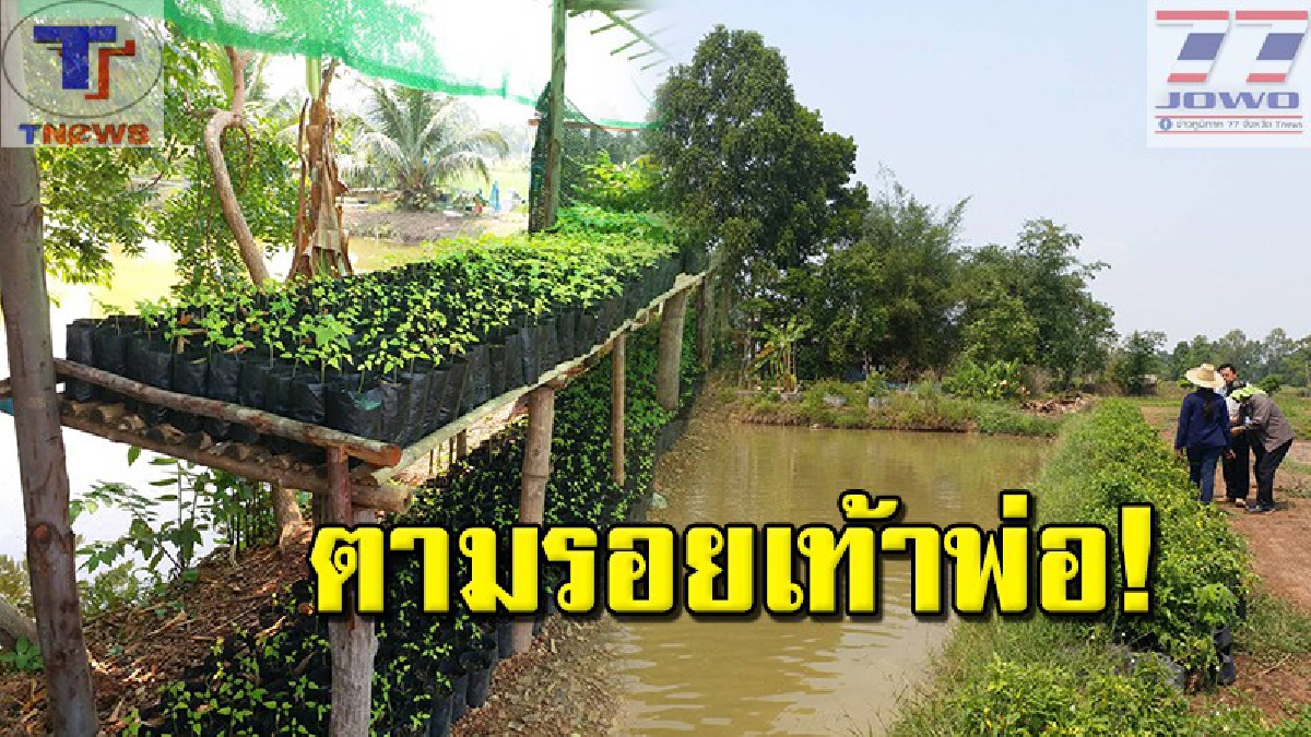 ฟาร์มตัวอย่างเศรษฐกิจพอเพียง เดินตามรอยเท้าพ่อ “บังอร ไชยเสนา” บัณฑิตกิตติมศักดิ์เกษตรต้นแบบ “ปราชญ์สร้างชาติรักษาแผ่นดิน” ของสกลนคร