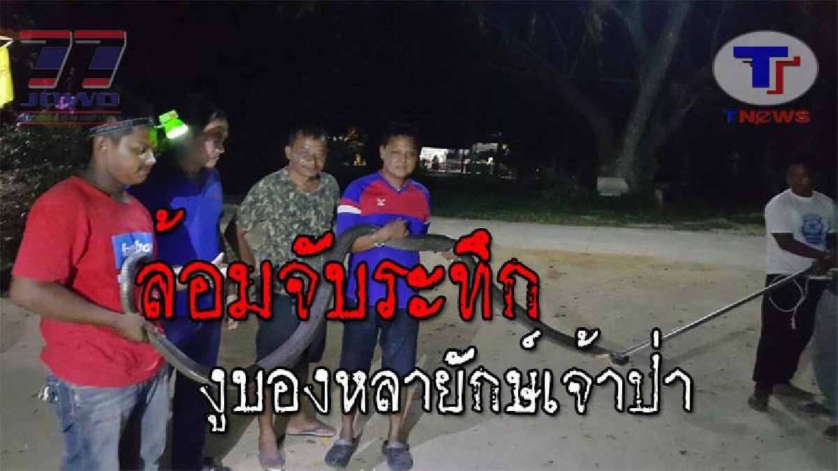 สุดระทึก..!! ชาวบ้านนบพิตำกว่า 50 คน ปิดล้อมจับ "บองหลายักษ์" เหลือเชื่อ หายตัวโผล่กลางลานบ้าน ทำเอาวงแตกวิ่งหนีกระเจิง!? (ชมคลิป)