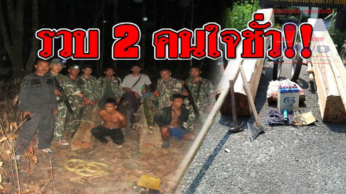 ควรกำจัดให้สิ้นแผ่นดิน!? ฉวยโอกาสตอนฝนตก ลักลอบตัดไม้หวงห้ามเขตไทย สุดท้ายไม่รอดจับได้ 2 คน