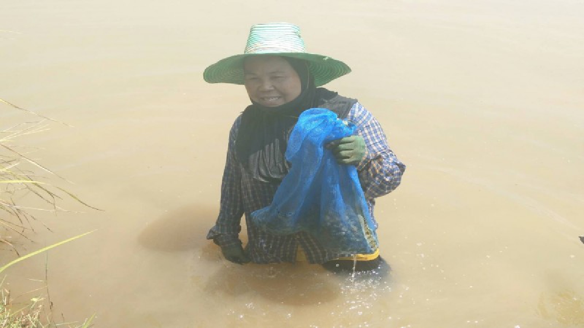 โคราชร้อนจัด !! ชาวบ้านคลายร้อนด้วยการลงเล่นน้ำ แถมงมหอยขมขึ้นมาขาย สร้างรายได้ดีอีกทาง (มีคลิป)
