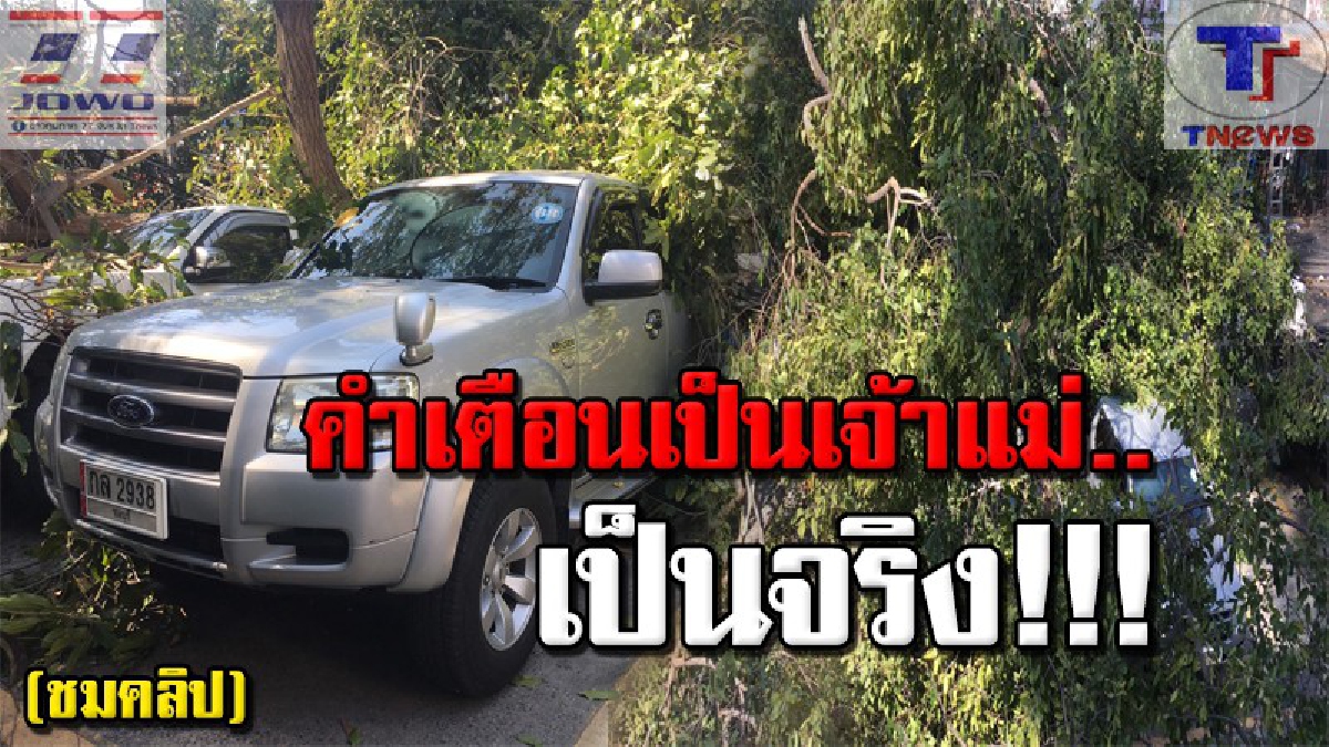 ไม่เชื่ออย่าลบหลู่ !! สาวนิรนามเข้าฝันเตือน "ภัยพิบัติ" สุดท้ายเกิดขึ้นจริง! เล่นเอาขนหัวลุก ต้นไม้ใหญ่ล้มทับบ้านเรือนระเนระนาด (คลิป)
