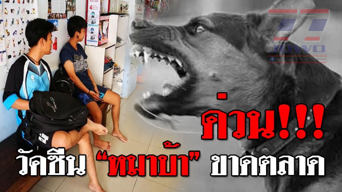 ด่วนวัคซีนขาดตลาด!!! ล่าสุด "วัคซีนสุนัขบ้า" ขาดตลาด ยอดความต้องการพุ่งเป็น 10 เท่า อปท.ซื้อไม่ทัน..!?? (ชมคลิป)