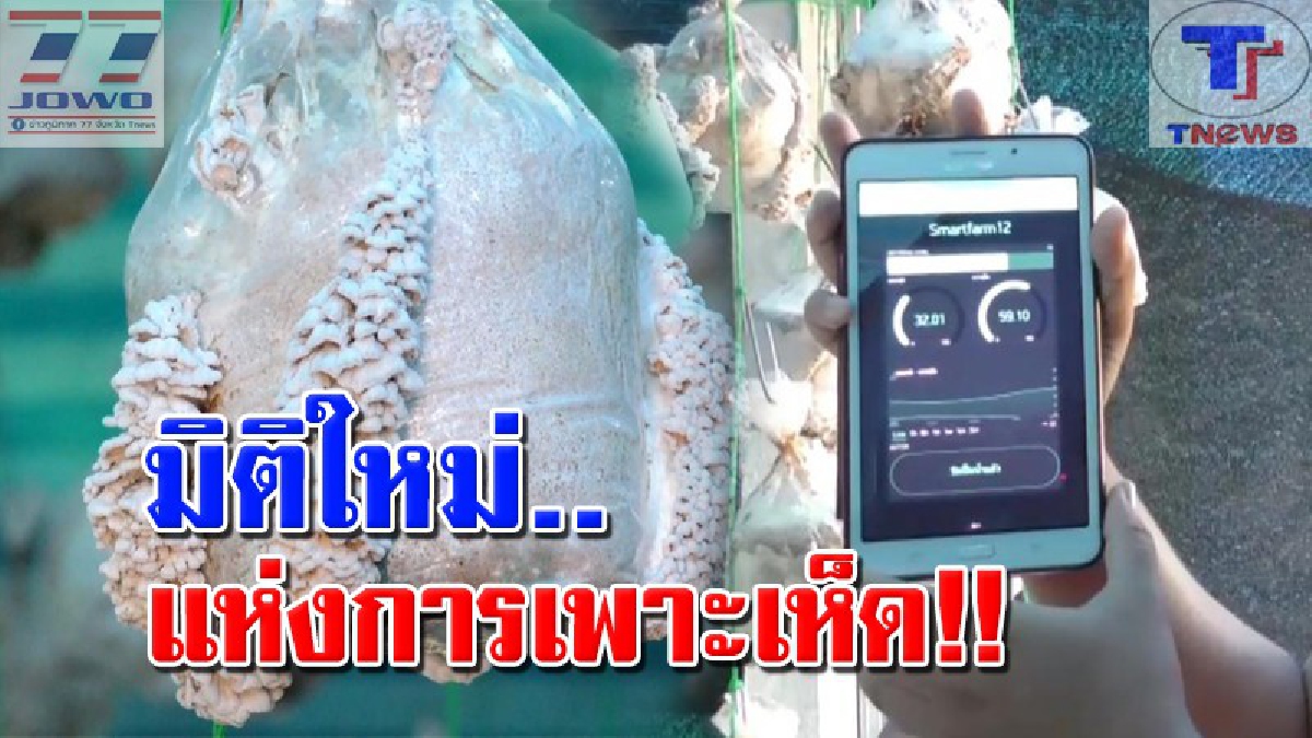 เห็ดแครงไฮเทค !! เกษตรกรบ้านควนขี้แรดสุดเจ๋ง เพาะเห็ดแครง สร้างรายได้เสริม สุดล้ำ! ใช้แอพลิเคชั่นควบคุมการเปิด-ปิดน้ำภายในโรงเรือน (คลิป)