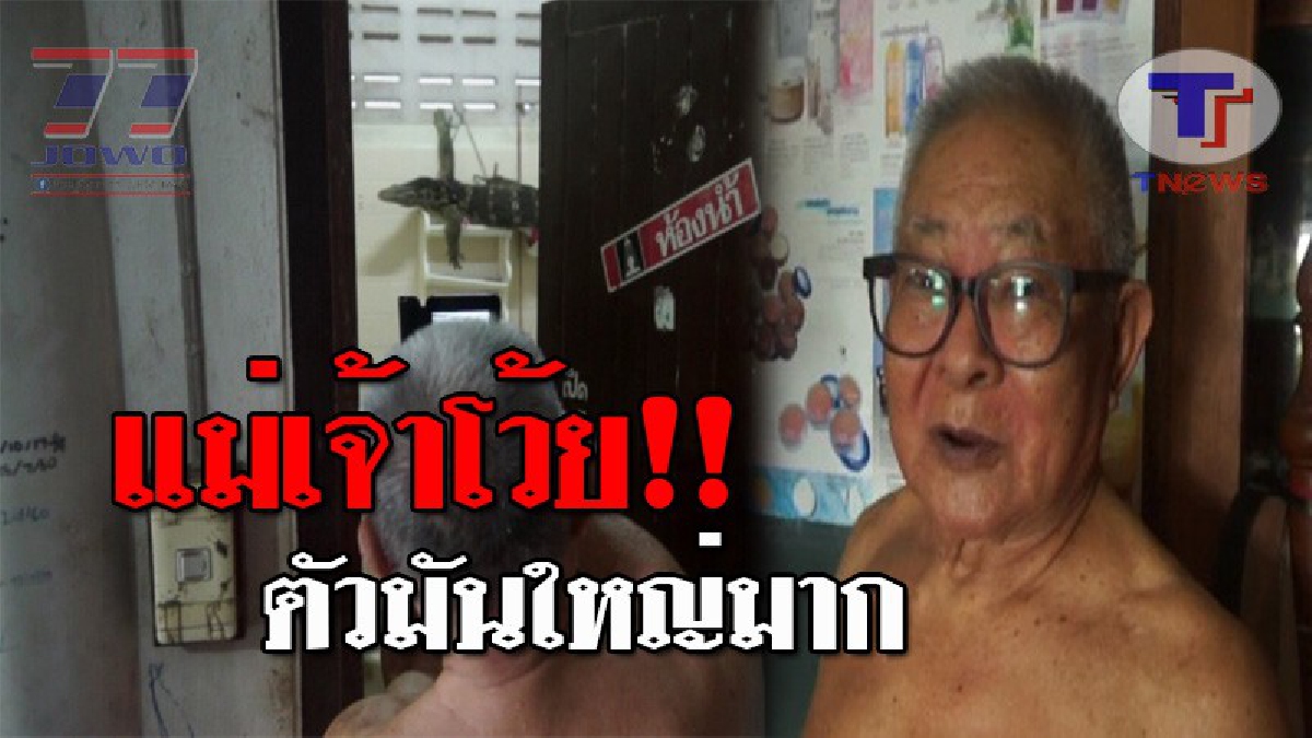 เจ้าของโรงน้ำปลา ได้ยินเสียงแปลกๆในห้องน้ำ รีบวิ่งไปดูเห็นแวบๆนึกว่า "ตุ๊กแกยักษ์" เปิดประตูจ้องอีกที แทบช็อค นี่มัน "วรนุช" ชัดๆ!? (ชมคลิป)