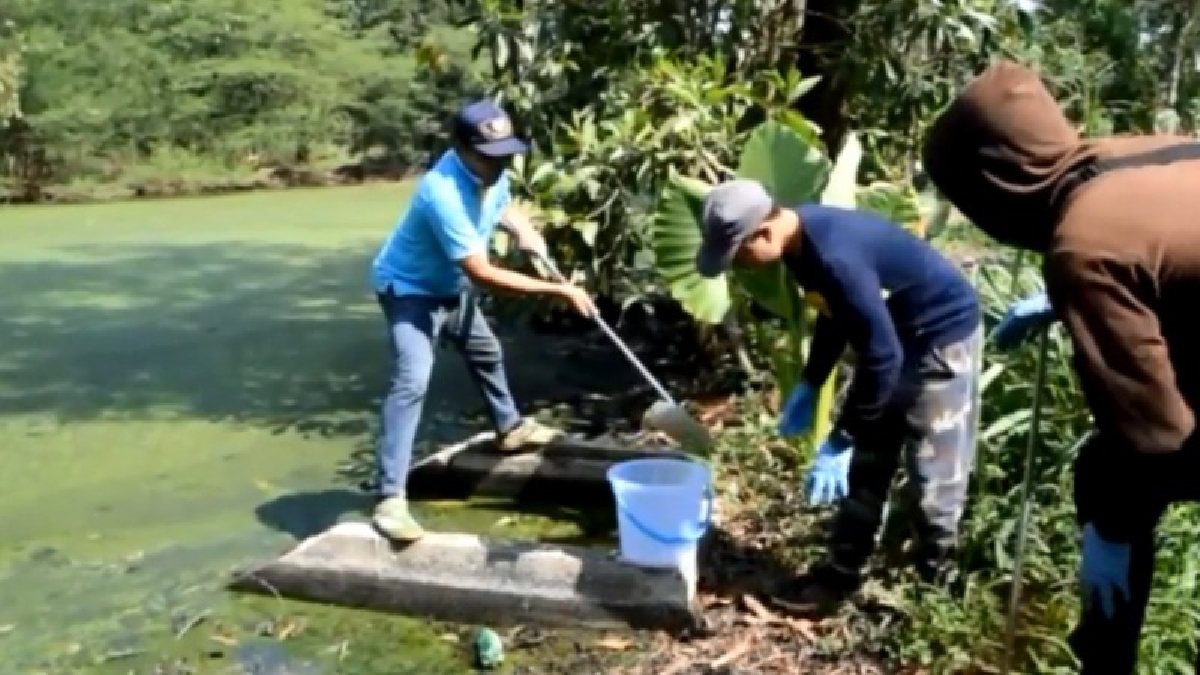 สรุปผลตรวจน้ำเสีย รอบบ่อขยะเทศบาลเมืองกระบี่ (ชมคลิป)