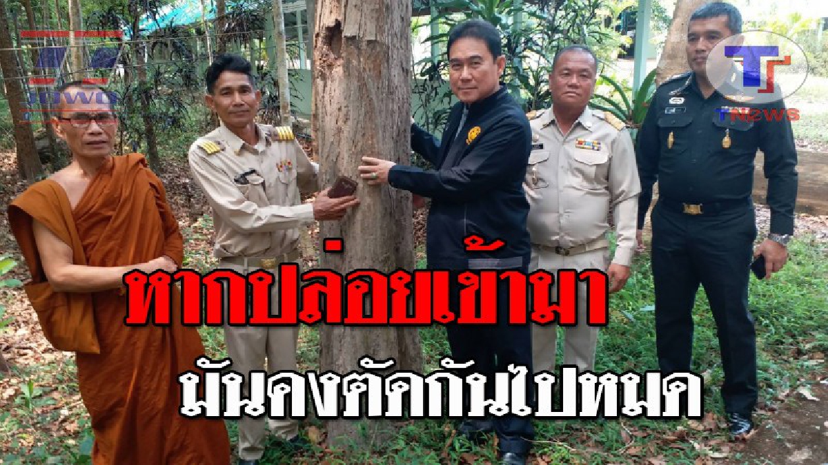 ใหญ่คับเมืองกันเหลือเกิน..!! ผู้ว่าฯ พร้อม ทหาร-ตำรวจ บุกป่าพะยูงวัดดัง หลังสมภารสุดทน ถูกแก๊งมอดไม้ยิงปืนขู่!? (ชมคลิป)