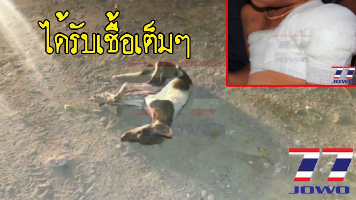 ชัดแล้ว !! เรื่องที่คนทั้งประเทศไทยไม่อยากได้ยิน ผลตรวจหมาขย้ำ 3 เด็กสมุทรปราการออกแล้ว ติดเชื้อ 100% (ชมคลิป)
