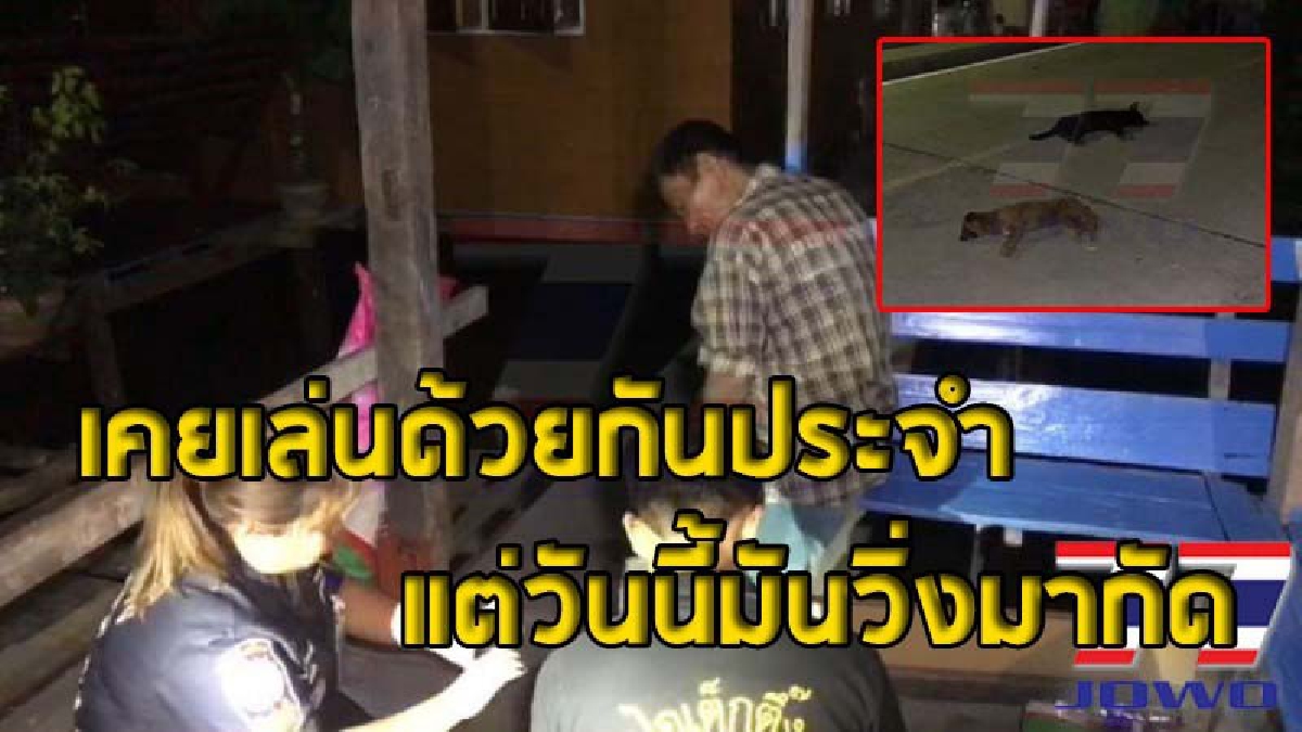 ชาวบ้านผวาหนัก ! ลุงวัย 54 ถูกกัดซ้ำ ในชุมชนเดียวกับที่เด็ก 3 คนโดนสุนัขจรจัดติดเชื้อพิษสุนัขบ้ากัด (ชมคลิป)