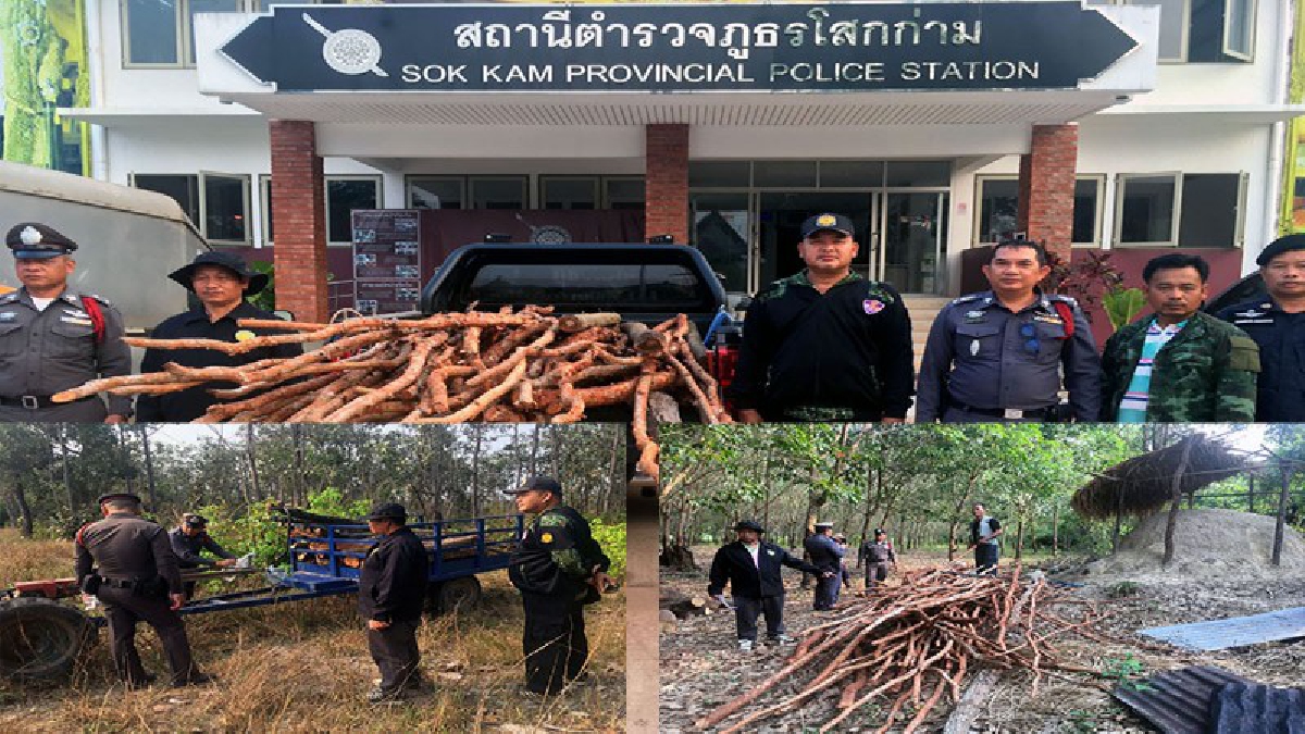 บึงกาฬ ! คนร้ายลักตัดไม้ในป่าสงวน ในวันป่าไม้โลก กำลังนำไปเผาถ่านขาย จนท.ตามไปยึดได้ถึงในเตา แต่ผู้ต้องหาเผ่นหนีไปได้..!?? (มีคลิป)