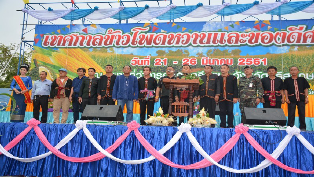 ชวนชิมข้าวโพดหวานสีแดงสายพันธุ์แรกของโลก ที่งานข้าวโพดหวานศรีรัตนะ จ.ศรีสะเกษ (ชมคลิป)