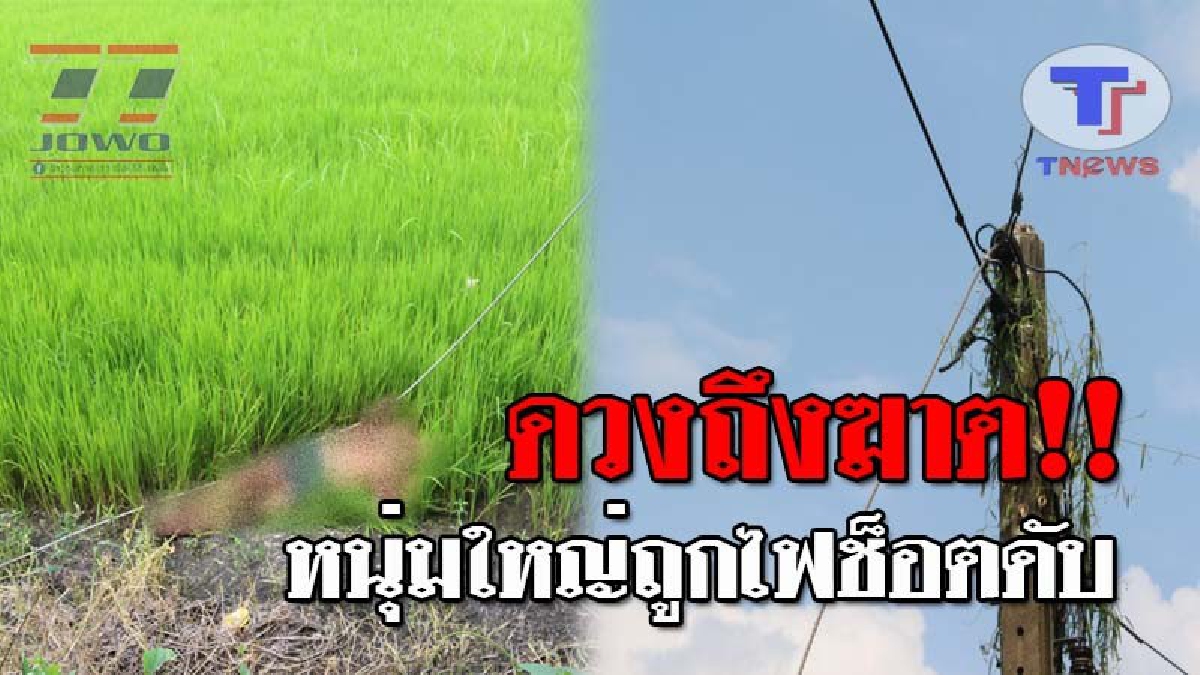ถึงคราวเคราะห์..!! หนุ่มใหญ่ ดวงกุด ออกไปเก็บผักริมรั้วบ้าน มาทำกับข้าว จู่ๆถูกไฟช็อต ดับอนาถกลางทุ่งนา!? (ชมคลิป)