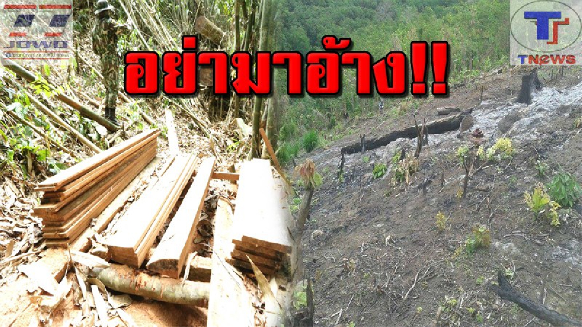 ฉก.พญาเสือแฉ!!! คนต่างถิ่นอ้างสิทธิคนจน ย้ายทะเบียนบ้านชั่วคราว ยึดผืนป่าต้นน้ำบางสะพาน (คลิป)