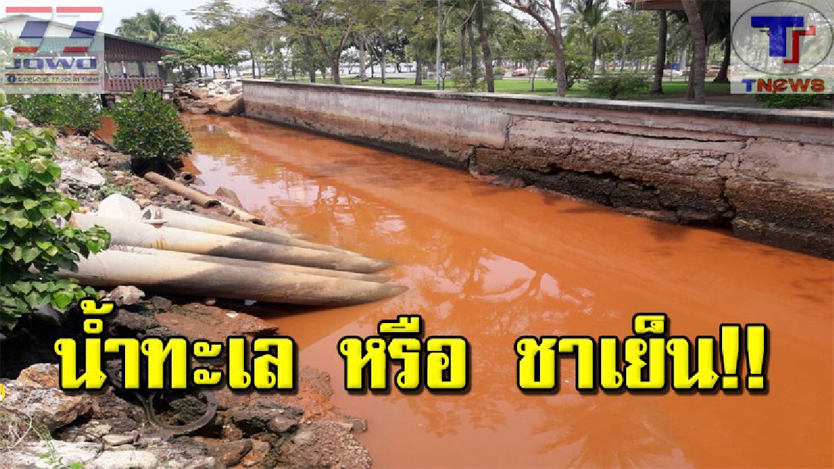 ชาวบ้านโวย !! น้ำเสียไหลลงทะเลศรีราชา กลิ่นเหม็น-สกปรก หวั่นระบบนิเวศเสียหาย (มีคลิป)