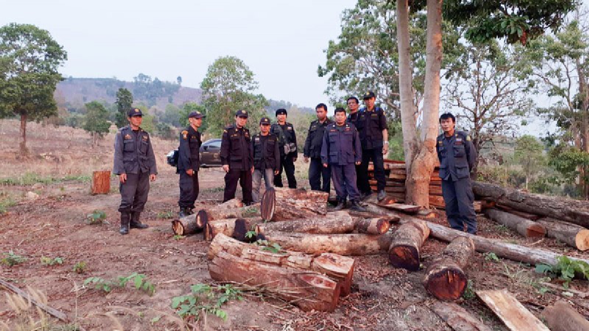 แจ้งจับคนในสนง.อัยการรุกป่าทำไม้เถื่อนใน อ.ด่านซ้าย