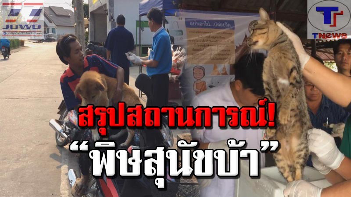 #เช็คด่วน ปศุสัตว์ชัยภูมิสรุปแล้ว "สถานการณ์โรคพิษสุนัขบ้า" เผยระบาดหนักถึง 5 อำเภอ (ชมคลิป)