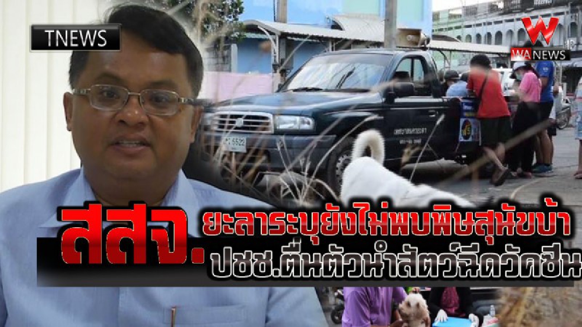 นายแพทย์สาธารณสุขยะลา ระบุ..ยะลายังไม่พบผู้ป่วยพิษสุนัขบ้า ทั้งคนและสัตว์ ขณะที่ประชาชนตื่นตัวนำสัตว์ฉีดวัคซีนจำนวนมาก