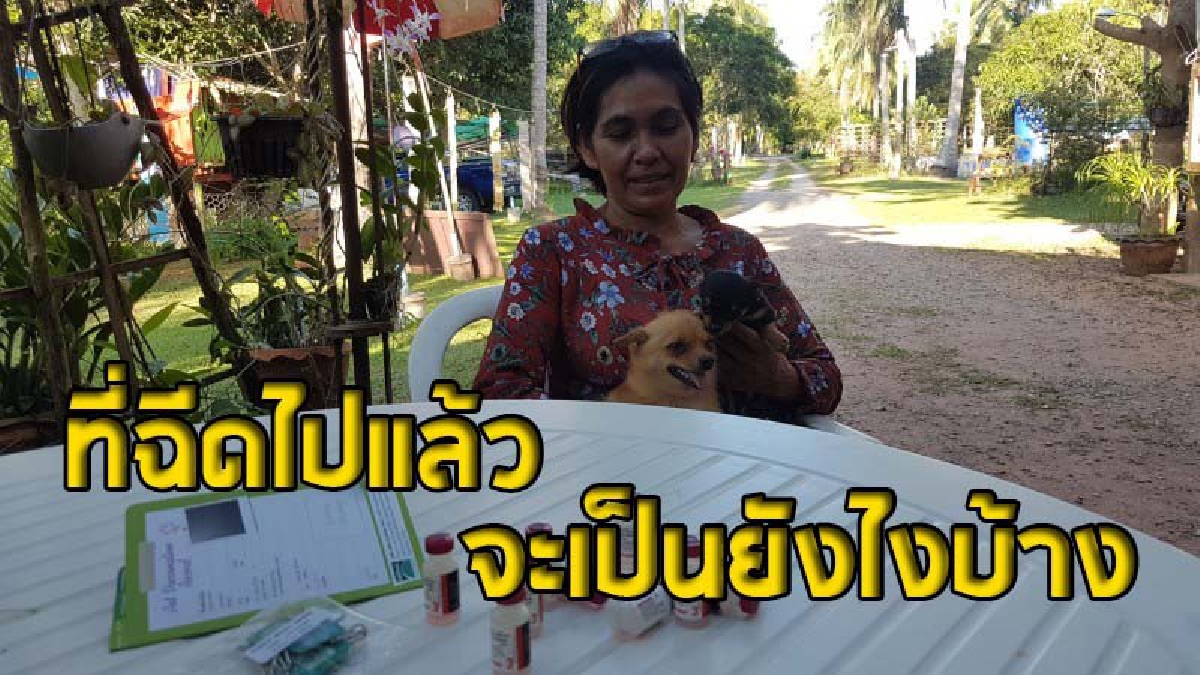 หน้าสิ่วหน้าขวานแบบนี้..ทำได้ยังไง ? สาวใหญ่สุดช้ำ ซื้อวัคซีนพิษสุนัขบ้าฉีดสัตว์เลี้ยง ใช้จนเหลือขวดสุดท้าย กลับพบยาหมดอายุแล้วเป็นปี (คลิป)