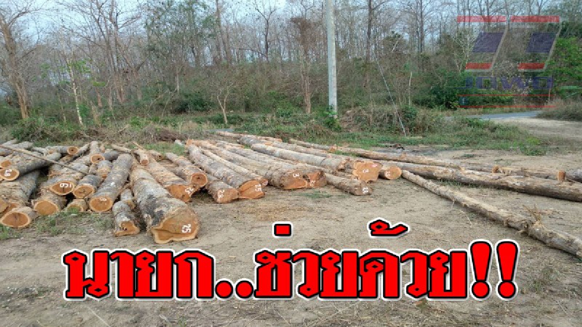 นายกตู่ ช่วยจัดการที!!! มีกลิ่นโชย การบริหารจัดการสวนป่าสรอย ตำบลแม่พุง จ.แพร่ (ชมคลิป)