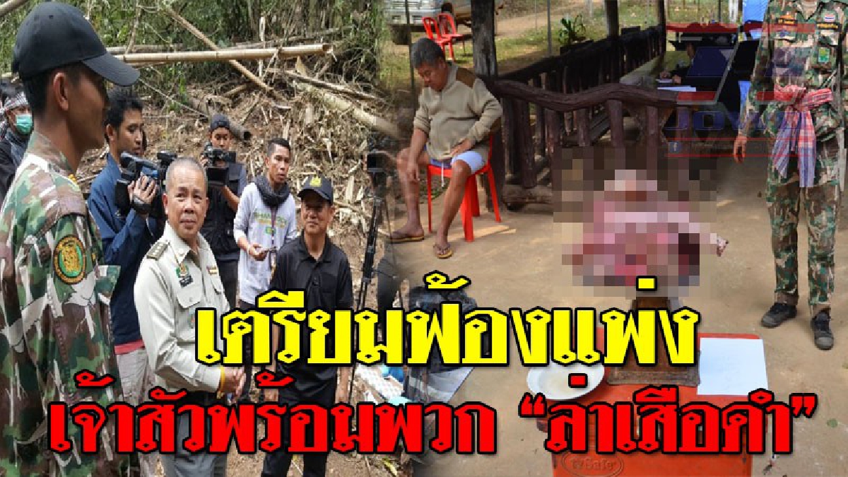 ด่วน!!! หน.ฉก.พญาเสือ เตรียมฟ้องแพ่ง เจ้าสัวเปรมชัยพร้อมพวก "ล่าเสือดำ" ไก่ฟ้า เรียกค่าเสียหายกว่า 3 ล้านบาท..!?? (ชมคลิป)