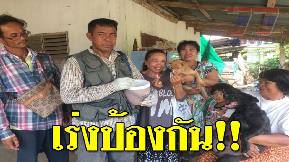 เราต้องช่วยกันป้องกัน ! สุรินทร์เร่งฉีดวัคซีน &ldquo;หมา-แมว&rdquo; ป้องกันพิษสุนัขบ้า หลังปีนี้เสียชีวิตแล้ว 3 ราย