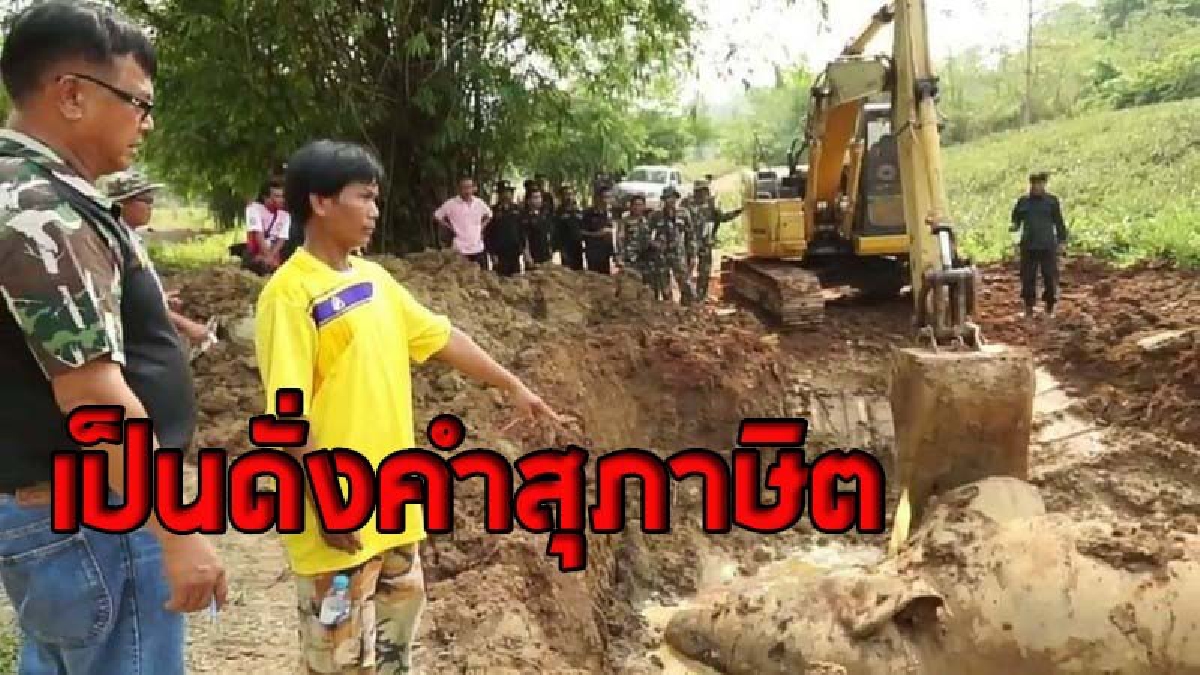 ช้างป่าบุกไร่สัปปะรดชาวบ้าน โดนลวดปล่อยกระแสไฟฟ้าเสียชีวิต รีบใช้แบคโฮขุดหลุมฝัง  เรื่องดังถึงหูจนท. สั่งขุดศพทันที  (ชมคลิป)